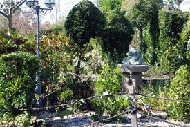 Escuela Infantil Lacaba plantas y estatua
